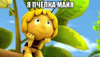 я пчёлка майя 