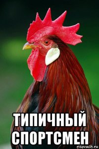  типичный спортсмен