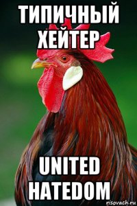 типичный хейтер united hatedom
