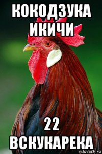 кокодзука икичи 22 вскукарека
