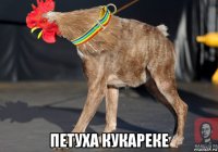  петуха кукареке