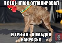 я себе клюв отполировал и гребень помадой накрасил