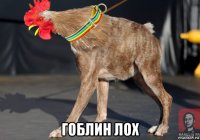  гоблин лох