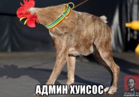  админ хуисос