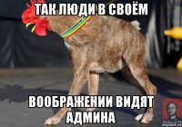 так люди в своём воображении видят админа