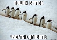 пошли, братва чубатых дрючить