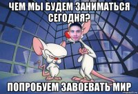 чем мы будем заниматься сегодня? попробуем завоевать мир