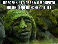 плесень это грязь и мокрота но иногда плесень лечет 