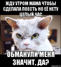 жду утром мама чтобы сделала поесть но её нету целый час обманули меня значит, да?