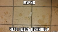 мурик чего здесь лежишь?