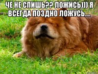 че не спишь?? ложись))) я всегда поздно ложусь.... 