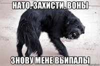 нато, захисти, воны знову мене вьипалы