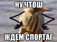 ну чтош ждем спортаг