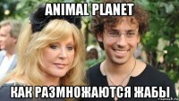 animal planet как размножаются жабы