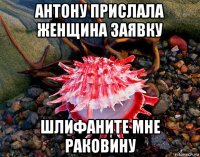 антону прислала женщина заявку шлифаните мне раковину