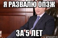 я развалю опзж за 5 лет