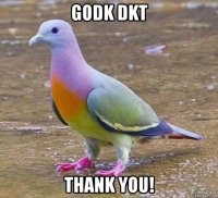 godk dkt thank you!
