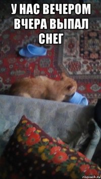 у нас вечером вчера выпал снег 