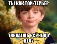 ты как той-терьер тявкаешь всё не по делу