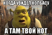 когда увидел колбасу а там твой кот