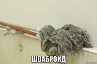  шваброид
