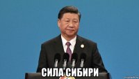  сила сибири