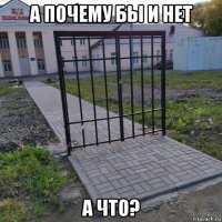 а почему бы и нет а что?