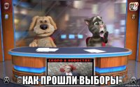  как прошли выборы