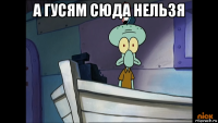 а гусям сюда нельзя 