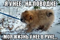 я у нее - на поводке моя жизнь у нее в руке...