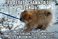 то делать скажи? а то водишь, как козла на поводке. у тебя сейчас одно дело, а у меня может быть другое.