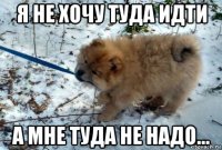 я не хочу туда идти а мне туда не надо...