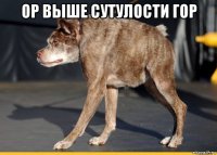 ор выше сутулости гор 