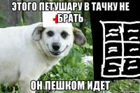 этого петушару в тачку не брать он пешком идет