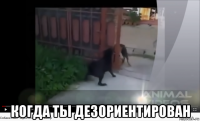 когда ты дезориентирован