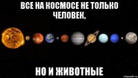 все на космосе не только человек, но и животные