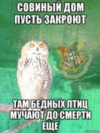 совиный дом пусть закроют там бедных птиц мучают до смерти еще