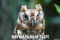  нормальный ты?!