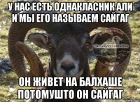 у нас есть однакласник али и мы его называем сайгаг он живет на балхаше потомушто он сайгаг