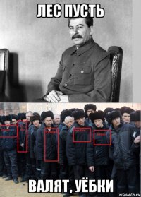 лес пусть валят, уёбки