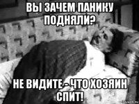 вы зачем панику подняли? не видите - что хозяин спит!