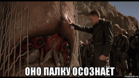  оно палку осознаёт