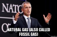  natural gas (also called fossil gas)