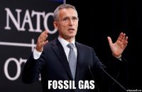  fossil gas