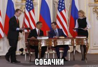  собачки