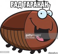 рад таракан 