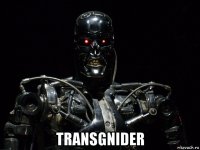  transgnider