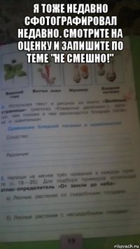 я тоже недавно сфотографировал недавно. смотрите на оценку и запишите по теме "не смешно!" 