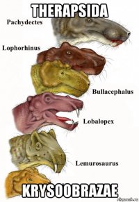 therapsida krysoobrazae