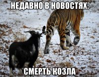 недавно в новостях: смерть козла